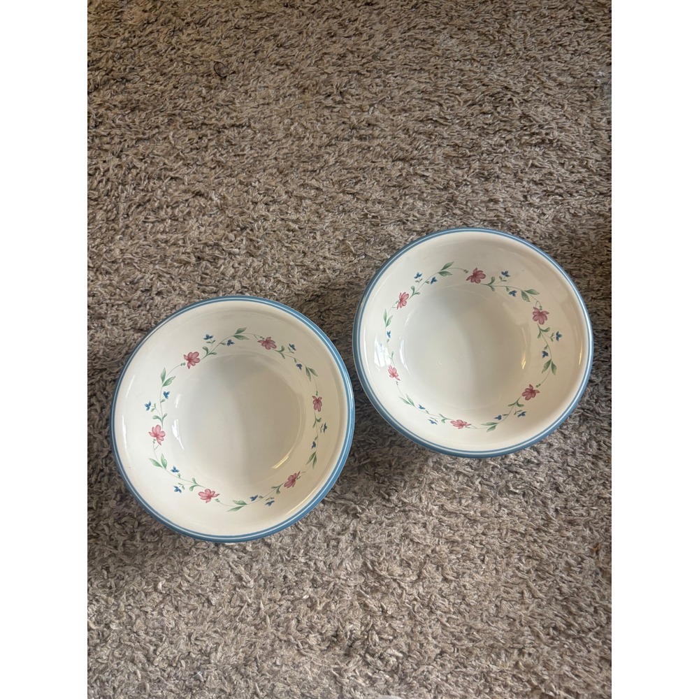 Newcor Stoneware Summer Morning Cereal Bowls Set of 2 Floral Blue Rim Vintage